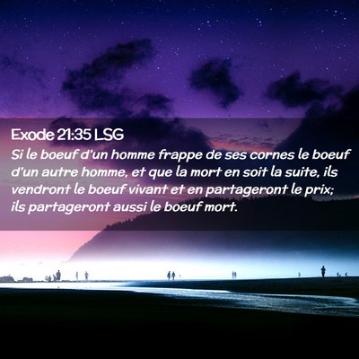 Picture 02 - Exode 21:35 LSG - Si le boeuf d'un homme frappe de ses cornes le - Bible Verse Picture