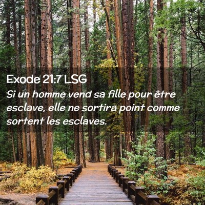 Picture 02 - Exode 21:7 LSG - Si un homme vend sa fille pour être esclave, - Bible Verse Picture