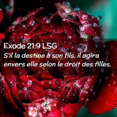 Picture 02 - Exode 21:9 LSG - S'il la destine à son fils, il agira envers elle - Bible Verse Picture