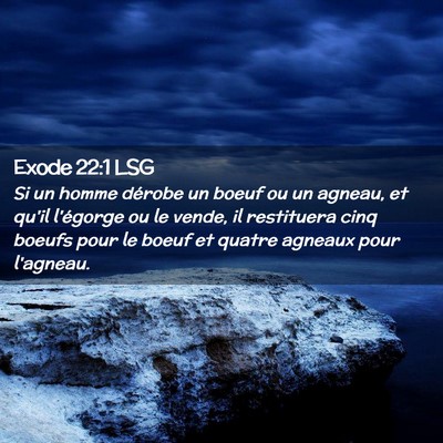 Picture 02 - Exode 22:1 LSG - Si un homme dérobe un boeuf ou un agneau, et - Bible Verse Picture