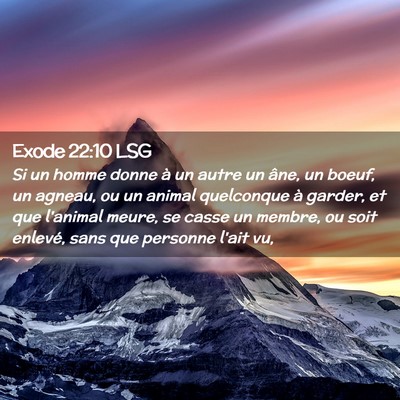 Picture 02 - Exode 22:10 LSG - Si un homme donne à un autre un âne, un boeuf, - Bible Verse Picture
