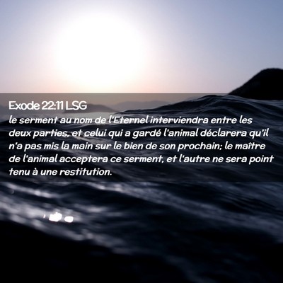 Picture 02 - Exode 22:11 LSG - le serment au nom de l'Eternel interviendra entre - Bible Verse Picture