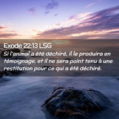 Picture 02 - Exode 22:13 LSG - Si l'animal a été déchiré, il le produira en - Bible Verse Picture