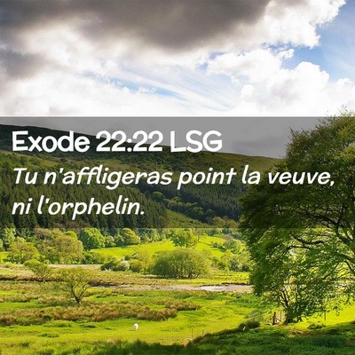Picture 02 - Exode 22:22 LSG - Tu n'affligeras point la veuve, ni - Bible Verse Picture