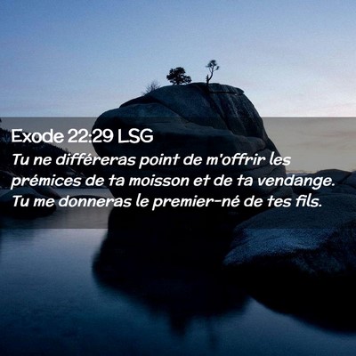 Picture 02 - Exode 22:29 LSG - Tu ne différeras point de m'offrir les prémices - Bible Verse Picture