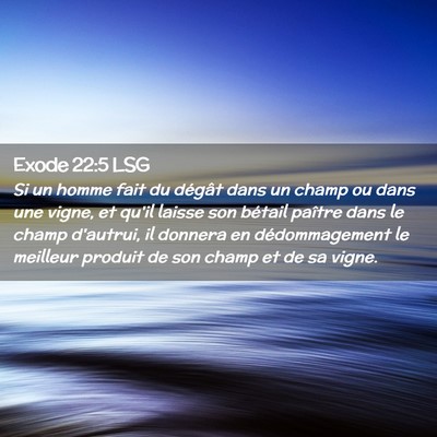 Picture 02 - Exode 22:5 LSG - Si un homme fait du dégât dans un champ ou dans - Bible Verse Picture