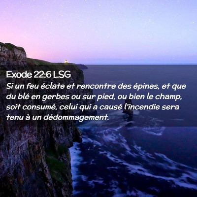 Picture 02 - Exode 22:6 LSG - Si un feu éclate et rencontre des épines, et - Bible Verse Picture