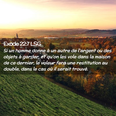 Picture 02 - Exode 22:7 LSG - Si un homme donne à un autre de l'argent ou des - Bible Verse Picture