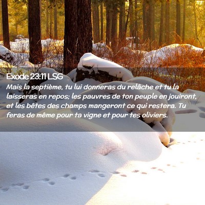 Picture 02 - Exode 23:11 LSG - Mais la septième, tu lui donneras du relâche et - Bible Verse Picture