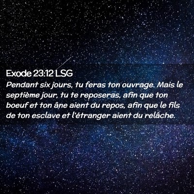 Picture 02 - Exode 23:12 LSG - Pendant six jours, tu feras ton ouvrage. Mais le - Bible Verse Picture