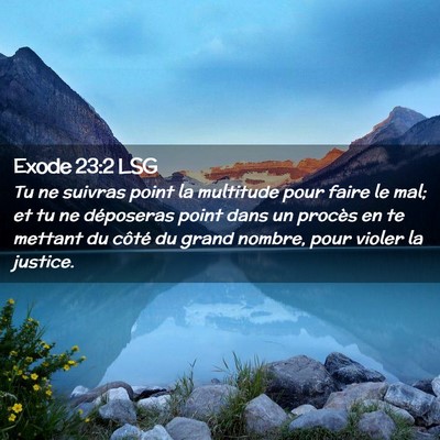Picture 02 - Exode 23:2 LSG - Tu ne suivras point la multitude pour faire le - Bible Verse Picture