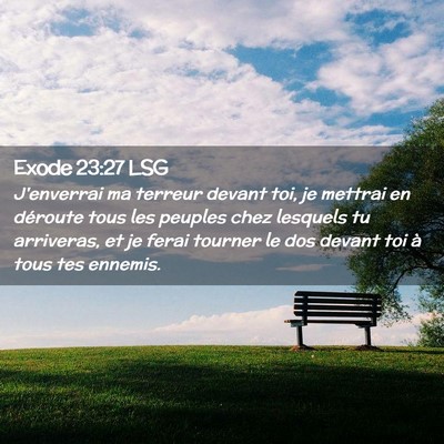 Picture 02 - Exode 23:27 LSG - J'enverrai ma terreur devant toi, je mettrai en - Bible Verse Picture