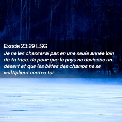 Picture 02 - Exode 23:29 LSG - Je ne les chasserai pas en une seule année loin - Bible Verse Picture