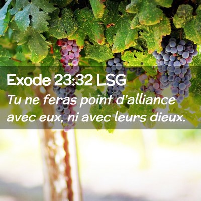 Picture 02 - Exode 23:32 LSG - Tu ne feras point d'alliance avec eux, ni avec - Bible Verse Picture