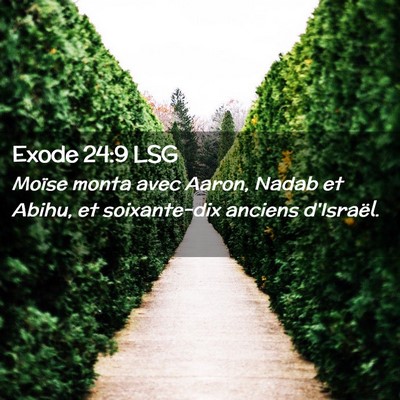 Picture 02 - Exode 24:9 LSG - Moïse monta avec Aaron, Nadab et Abihu, et - Bible Verse Picture