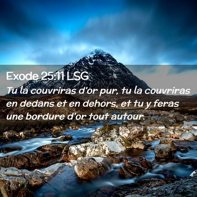 Picture 02 - Exode 25:11 LSG - Tu la couvriras d'or pur, tu la couvriras en - Bible Verse Picture