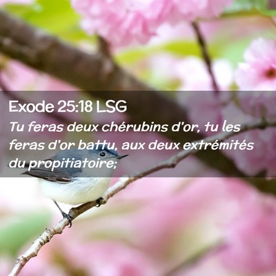 Picture 02 - Exode 25:18 LSG - Tu feras deux chérubins d'or, tu les feras d'or - Bible Verse Picture