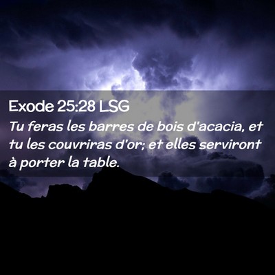 Picture 02 - Exode 25:28 LSG - Tu feras les barres de bois d'acacia, et tu les - Bible Verse Picture