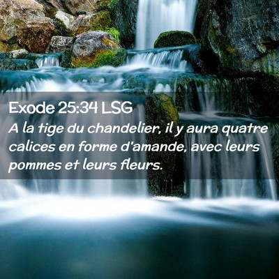 Picture 02 - Exode 25:34 LSG - A la tige du chandelier, il y aura quatre calices - Bible Verse Picture