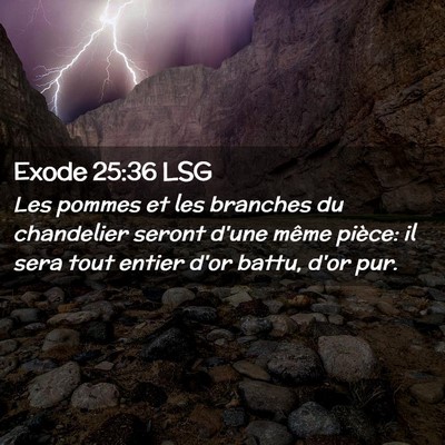Picture 02 - Exode 25:36 LSG - Les pommes et les branches du chandelier seront - Bible Verse Picture