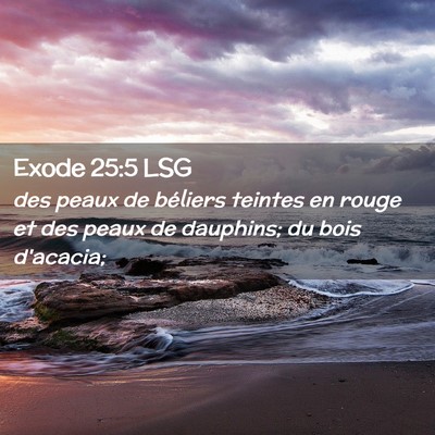 Picture 02 - Exode 25:5 LSG - des peaux de béliers teintes en rouge et des - Bible Verse Picture