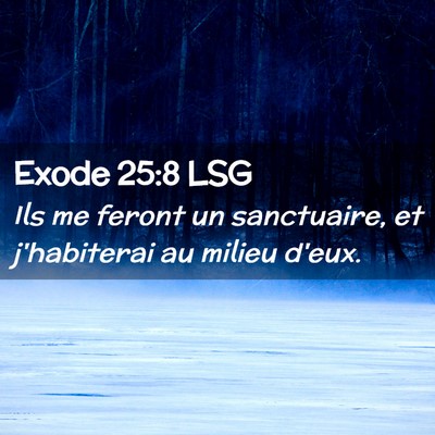 Picture 02 - Exode 25:8 LSG - Ils me feront un sanctuaire, et j'habiterai au - Bible Verse Picture