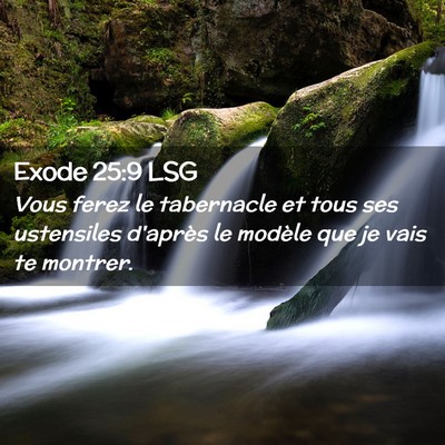 Picture 02 - Exode 25:9 LSG - Vous ferez le tabernacle et tous ses ustensiles - Bible Verse Picture