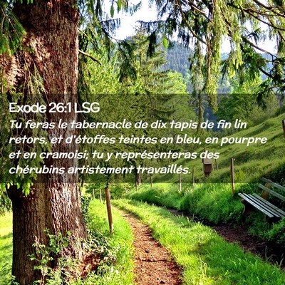 Picture 02 - Exode 26:1 LSG - Tu feras le tabernacle de dix tapis de fin lin - Bible Verse Picture
