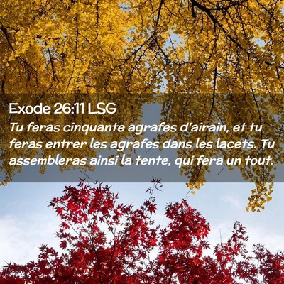 Picture 02 - Exode 26:11 LSG - Tu feras cinquante agrafes d'airain, et tu feras - Bible Verse Picture