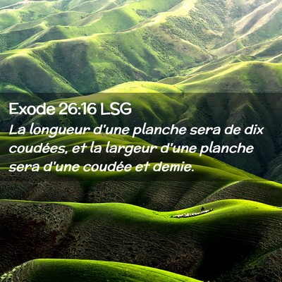 Picture 02 - Exode 26:16 LSG - La longueur d'une planche sera de dix coudées, - Bible Verse Picture