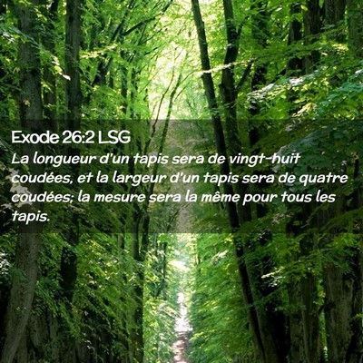 Picture 02 - Exode 26:2 LSG - La longueur d'un tapis sera de vingt-huit - Bible Verse Picture