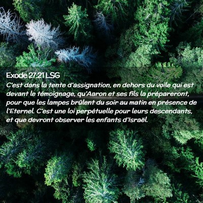 Picture 02 - Exode 27:21 LSG - C'est dans la tente d'assignation, en dehors du - Bible Verse Picture