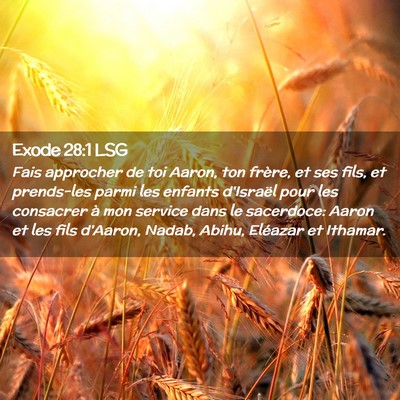 Picture 02 - Exode 28:1 LSG - Fais approcher de toi Aaron, ton frère, et ses - Bible Verse Picture