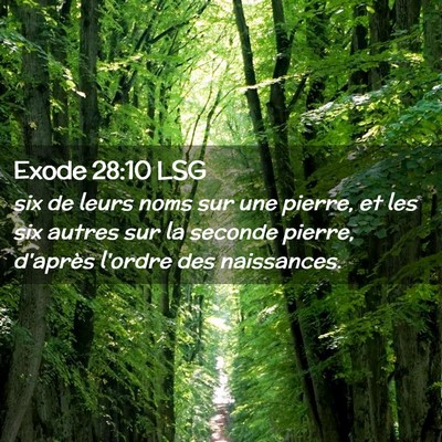 Picture 02 - Exode 28:10 LSG - six de leurs noms sur une pierre, et les six - Bible Verse Picture