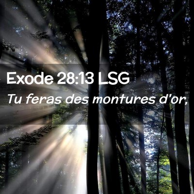 Picture 02 - Exode 28:13 LSG - Tu feras des montures - Bible Verse Picture