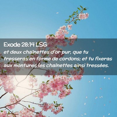 Picture 02 - Exode 28:14 LSG - et deux chaînettes d'or pur, que tu tresseras en - Bible Verse Picture