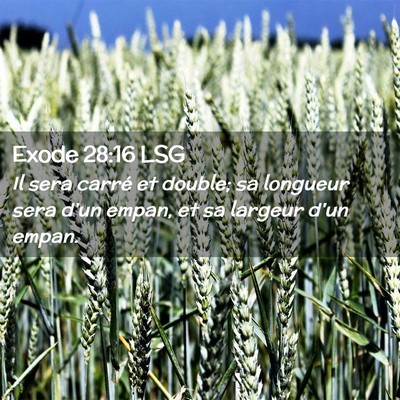 Picture 02 - Exode 28:16 LSG - Il sera carré et double; sa longueur sera d'un - Bible Verse Picture