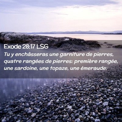 Picture 02 - Exode 28:17 LSG - Tu y enchâsseras une garniture de pierres, - Bible Verse Picture