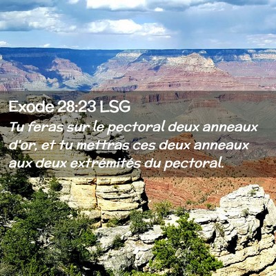 Picture 02 - Exode 28:23 LSG - Tu feras sur le pectoral deux anneaux d'or, et tu - Bible Verse Picture