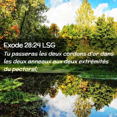 Picture 02 - Exode 28:24 LSG - Tu passeras les deux cordons d'or dans les deux - Bible Verse Picture