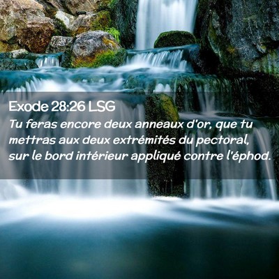 Picture 02 - Exode 28:26 LSG - Tu feras encore deux anneaux d'or, que tu mettras - Bible Verse Picture