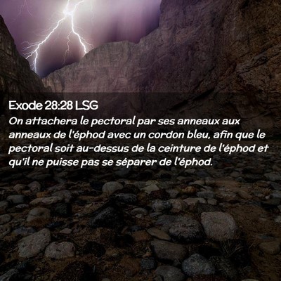 Picture 02 - Exode 28:28 LSG - On attachera le pectoral par ses anneaux aux - Bible Verse Picture