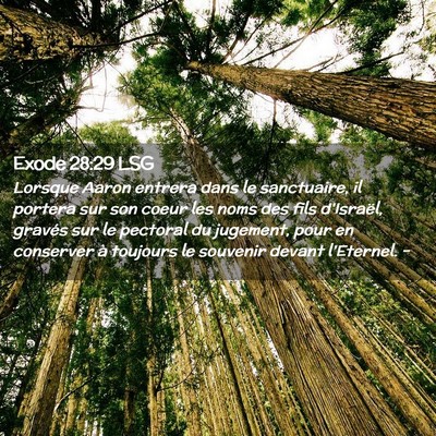 Picture 02 - Exode 28:29 LSG - Lorsque Aaron entrera dans le sanctuaire, il - Bible Verse Picture