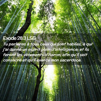 Picture 02 - Exode 28:3 LSG - Tu parleras à tous ceux qui sont habiles, à qui - Bible Verse Picture