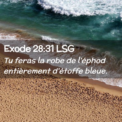 Picture 02 - Exode 28:31 LSG - Tu feras la robe de l'éphod entièrement - Bible Verse Picture