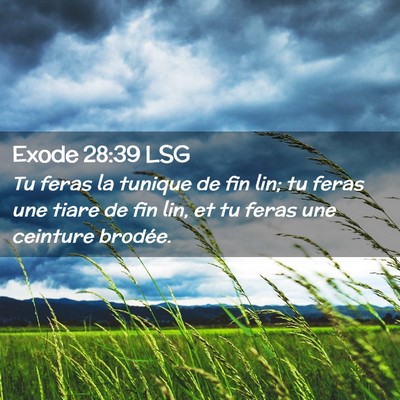 Picture 02 - Exode 28:39 LSG - Tu feras la tunique de fin lin; tu feras une - Bible Verse Picture