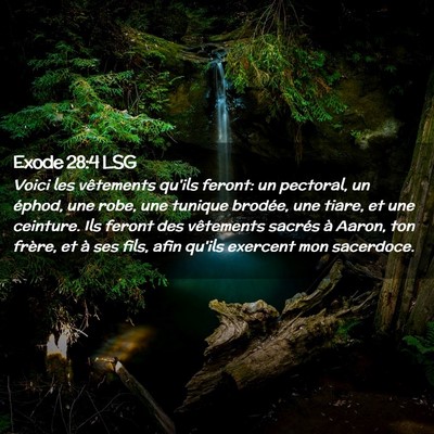 Picture 02 - Exode 28:4 LSG - Voici les vêtements qu'ils feront: un pectoral, - Bible Verse Picture