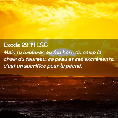 Picture 02 - Exode 29:14 LSG - Mais tu brûleras au feu hors du camp la chair du - Bible Verse Picture