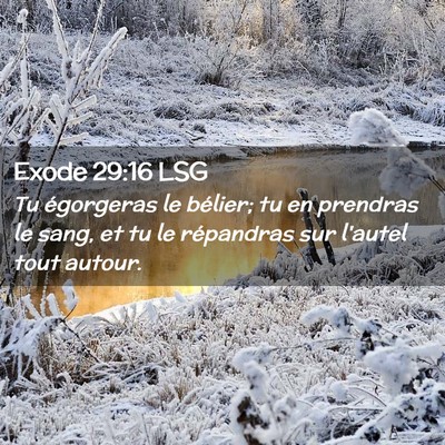 Picture 02 - Exode 29:16 LSG - Tu égorgeras le bélier; tu en prendras le sang, - Bible Verse Picture