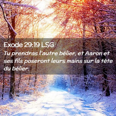 Picture 02 - Exode 29:19 LSG - Tu prendras l'autre bélier, et Aaron et ses fils - Bible Verse Picture